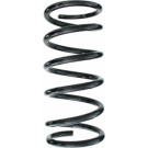 Spidan | Fahrwerksfeder | 55775