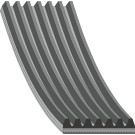 FEBI BILSTEIN 177986 Keilrippenriemen