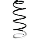 55246 Fahrwerksfeder