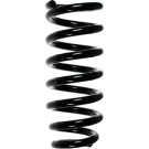 Spidan | Fahrwerksfeder | 55789