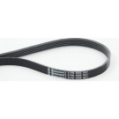 ContiTech | Keilrippenriemen | 5PK1592