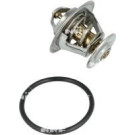 NRF | Thermostat, Kühlmittel | 725214