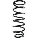Spidan | Fahrwerksfeder | 55921