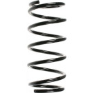 Spidan | Fahrwerksfeder | 55202