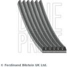Blue Print | Keilrippenriemen | AD06S1220