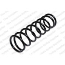 4227554 Fahrwerksfeder