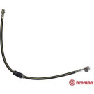 Brembo | Bremsschlauch | T 85 112