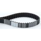 ContiTech | Zahnriemen | CT950 ContiTech | Zahnriemen | CT950