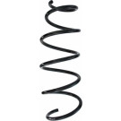 Spidan | Fahrwerksfeder | 87780