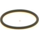 1 410 257 042 Dichtring