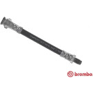 Brembo | Bremsschlauch | T 23 190