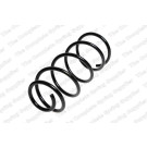 4095835 Fahrwerksfeder