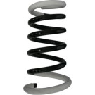 Spidan | Fahrwerksfeder | 56571