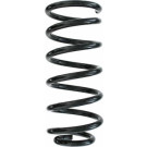 Spidan | Fahrwerksfeder | 87264