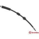 Brembo | Bremsschlauch | T 23 181
