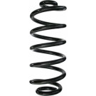 Spidan | Fahrwerksfeder | 87159