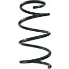 Spidan | Fahrwerksfeder | 87336