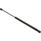 12-1666 Gasfeder, Koffer-/Laderaum