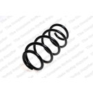 4027611 Fahrwerksfeder