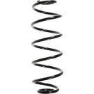 Spidan | Fahrwerksfeder | 85006