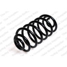 4263447 Fahrwerksfeder