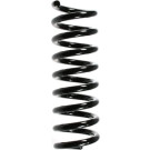 Spidan | Fahrwerksfeder | 55733