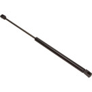 12-1719 Gasfeder, Koffer-/Laderaum