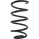 Spidan | Fahrwerksfeder | 87274