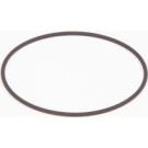 BOSCH | Dichtring | F 01M 100 371