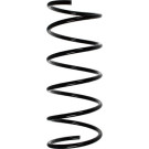 Spidan | Fahrwerksfeder | 56065