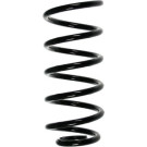 Spidan | Fahrwerksfeder | 56801