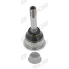 Monroe | Trag-/Führungsgelenk | L1165 Monroe | Trag-/Führungsgelenk | L1165