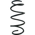 Spidan | Fahrwerksfeder | 87291