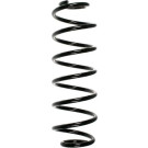 Spidan | Fahrwerksfeder | 55310