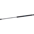 FEBI BILSTEIN 29261 Gasfeder, Heckscheibe