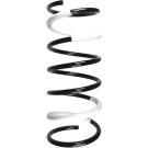 Spidan 2 x SPIDAN Fahrwerksfeder 55172