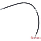 Brembo | Bremsschlauch | T 54 052