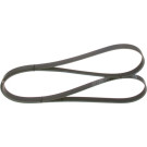 1 987 945 745 Keilrippenriemen