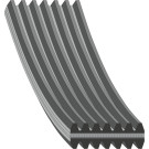 FEBI BILSTEIN 45025 Keilrippenriemen