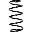 Spidan | Fahrwerksfeder | 55973