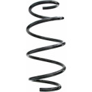 Spidan | Fahrwerksfeder | 87621