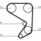 CT652 Zahnriemen CT652 Zahnriemen