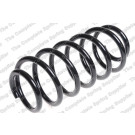 4275748 Fahrwerksfeder