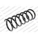 4227607 Fahrwerksfeder