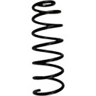 Spidan 2 x SPIDAN Fahrwerksfeder 86811