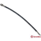 Brembo | Bremsschlauch | T 50 003