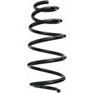 Spidan | Fahrwerksfeder | 87671