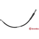 Brembo | Bremsschlauch | T 15 017
