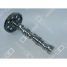 OE Germany | Nockenwelle | 01 0500 501000