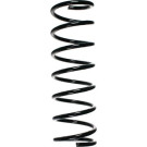 Spidan | Fahrwerksfeder | 55676